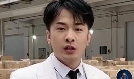 辛巴直播爆料快手视频,快手视频背后的惊人真相